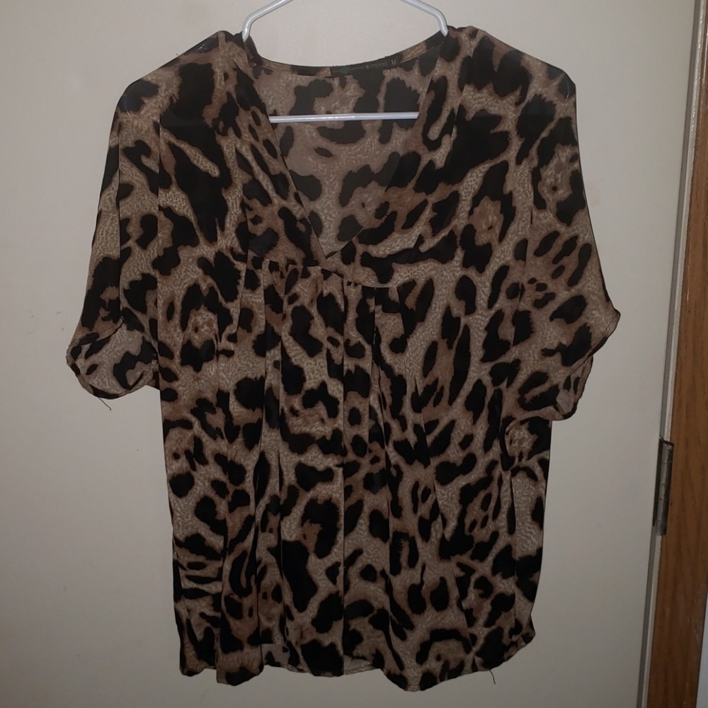 Chiffon Shirt